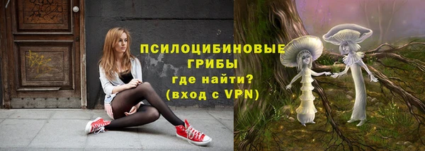 прущий лед Бежецк